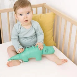 Achille le Crocodile musical