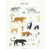 Affiche Animaux d'Asie (30 x 40 cm)