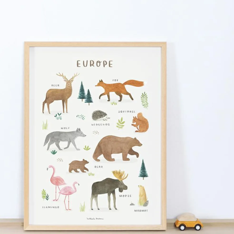 Affiche Animaux d'Europe (30 x 40 cm)