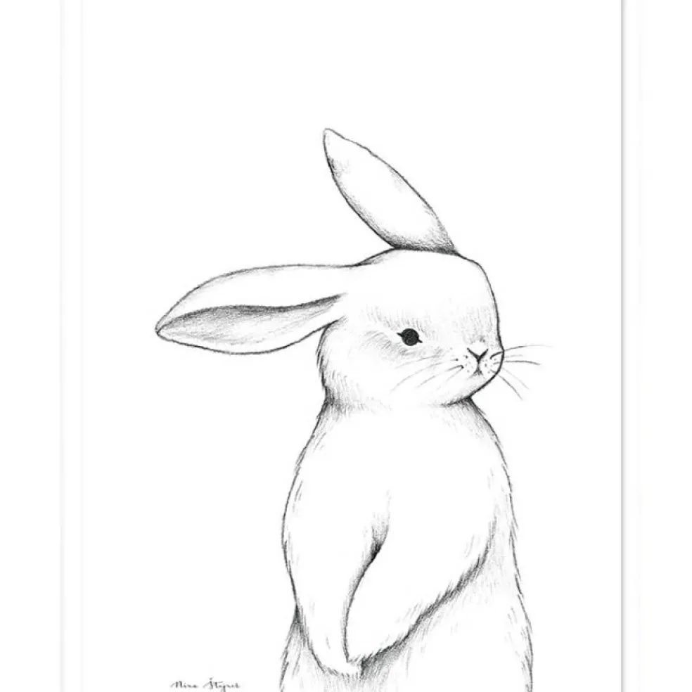 Affiche lapin de face (30 x 40 cm)