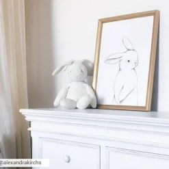 Affiche lapin de face (30 x 40 cm)