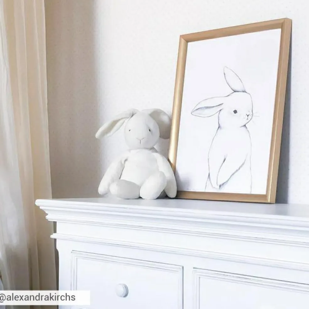 Affiche lapin de face (30 x 40 cm)