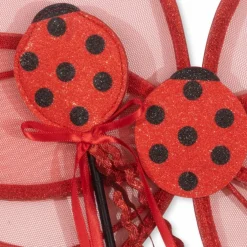 Ailes de fée Coccinelle