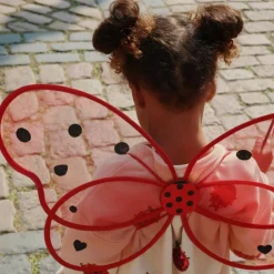 Ailes de fée Coccinelle