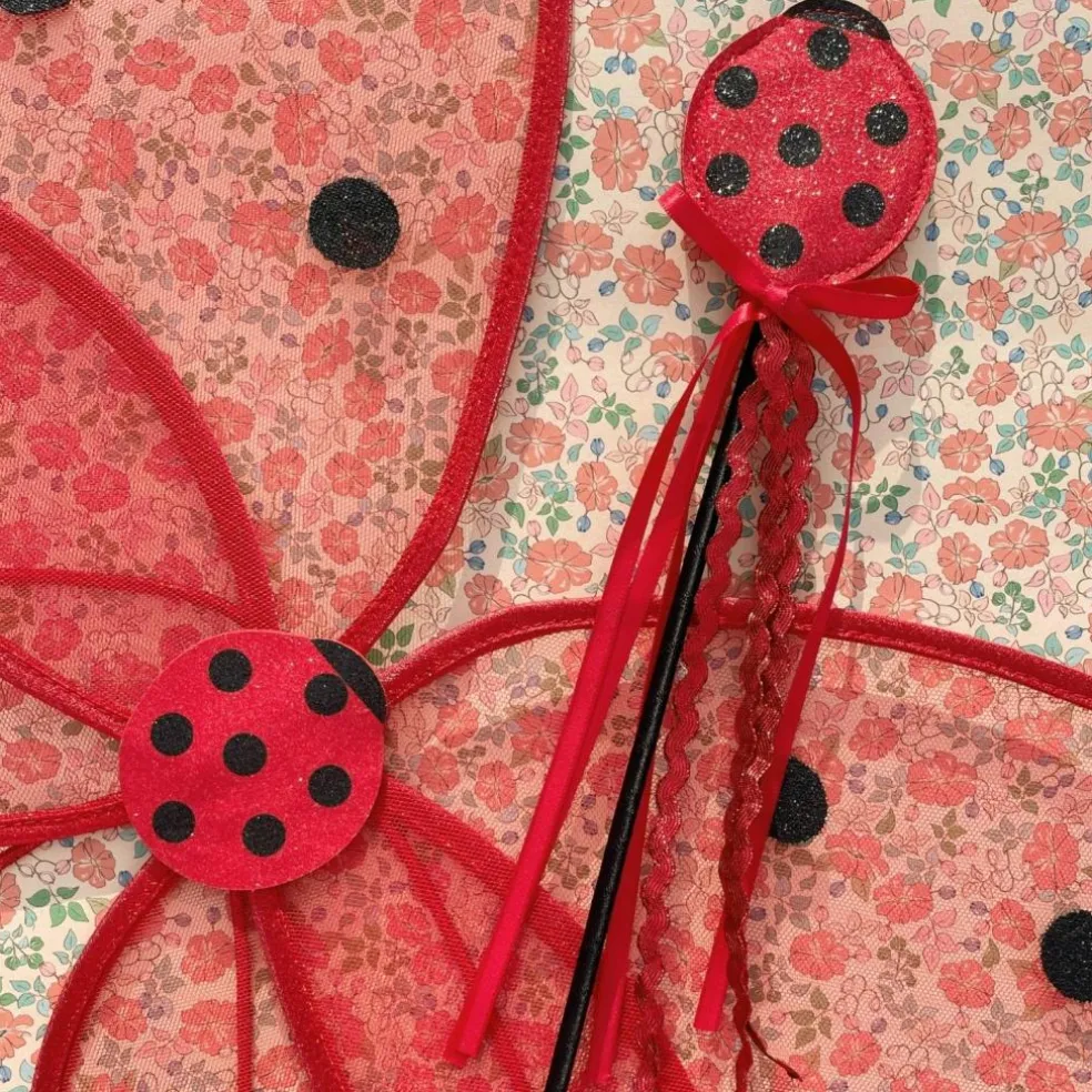 Ailes de fée Coccinelle