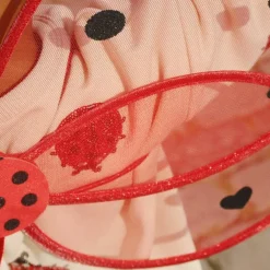 Ailes de fée Coccinelle