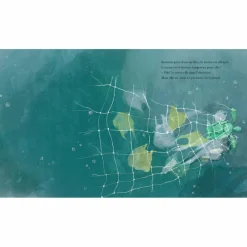 Album La petite tortue et l'océan