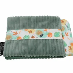 Album photo Chillos le Paresseux