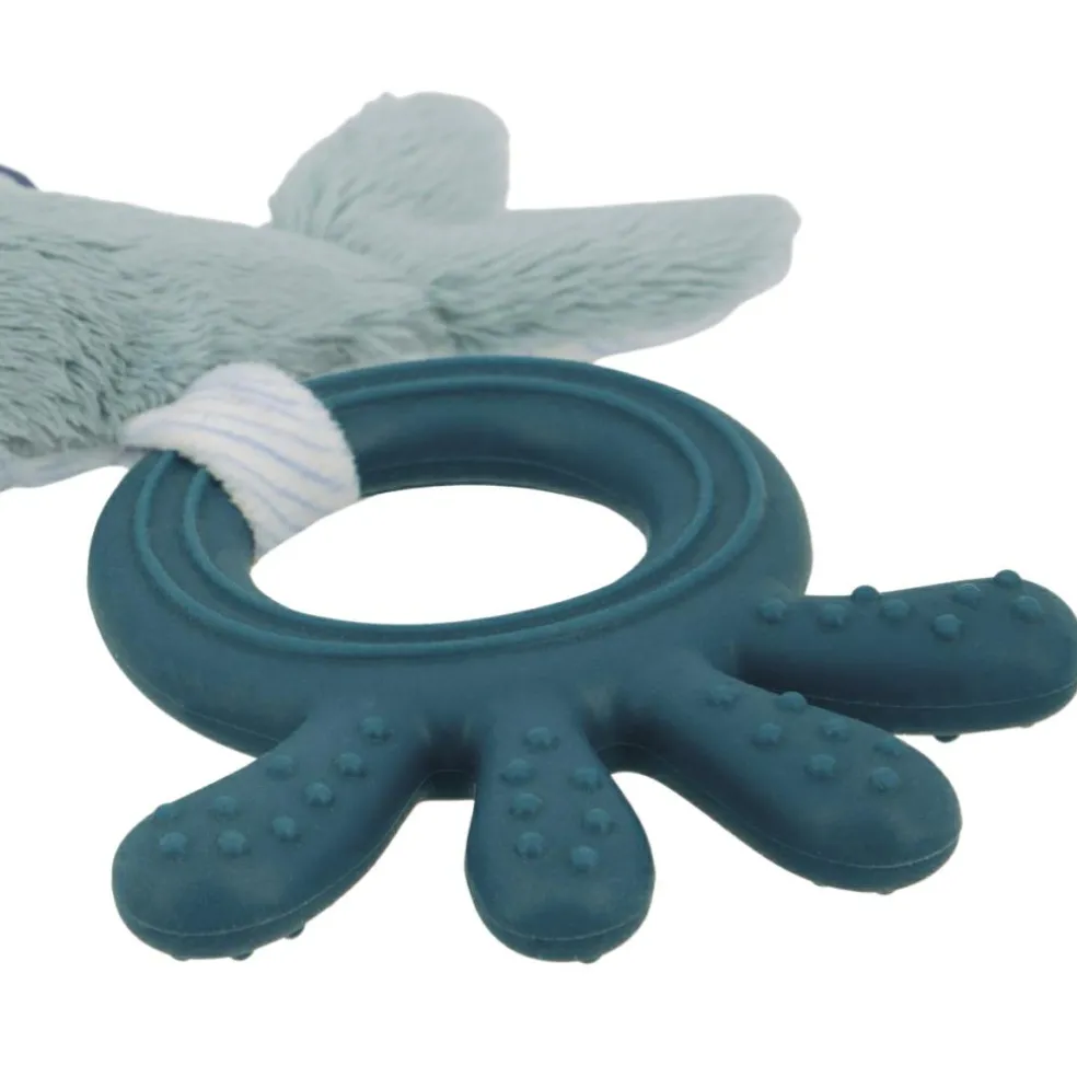 Anneau de dentition Dauphin