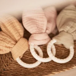 Anneau de dentition en silicone Bunny Ears Wild Rose