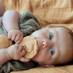 Anneau de dentition Lion