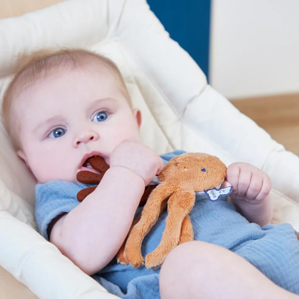 Anneau de dentition Poulpe