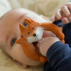 Anneau de dentition Renard