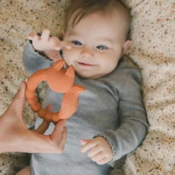 Anneau de dentition Renard