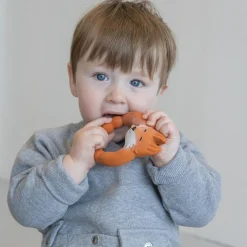 Anneau de dentition Renard