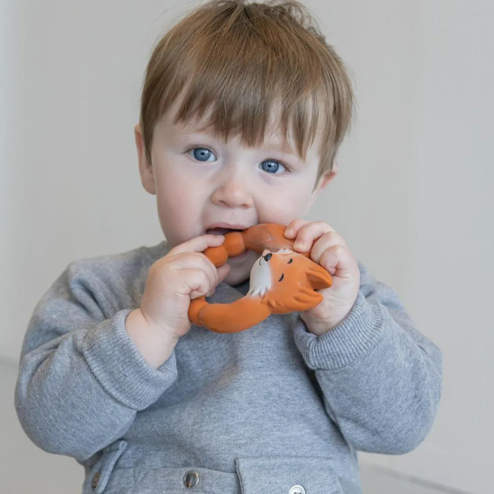 Anneau de dentition Renard