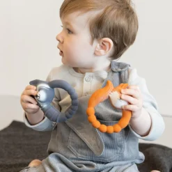 Anneau de dentition Renard