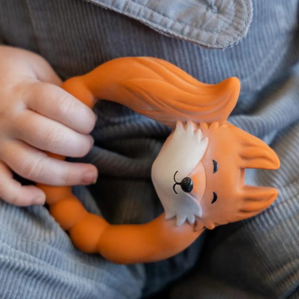 Anneau de dentition Renard