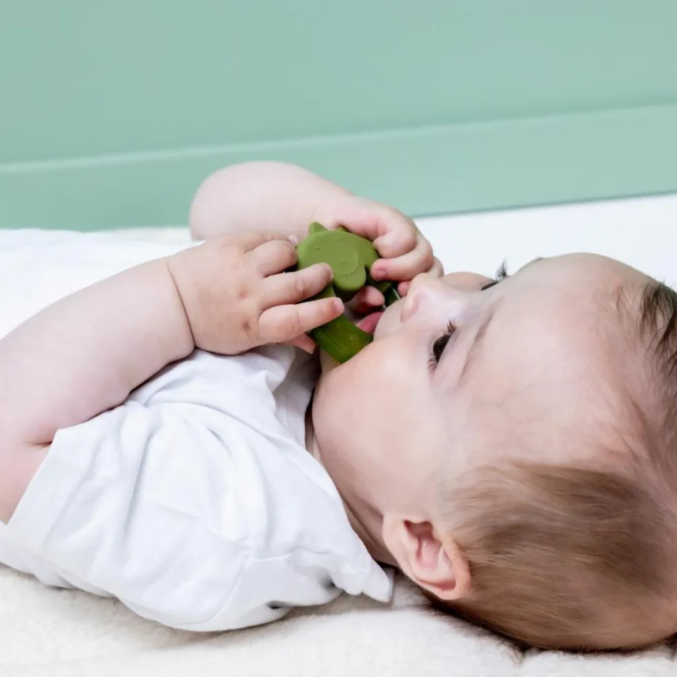 Anneau de dentition réfrigérant Mr. Dino