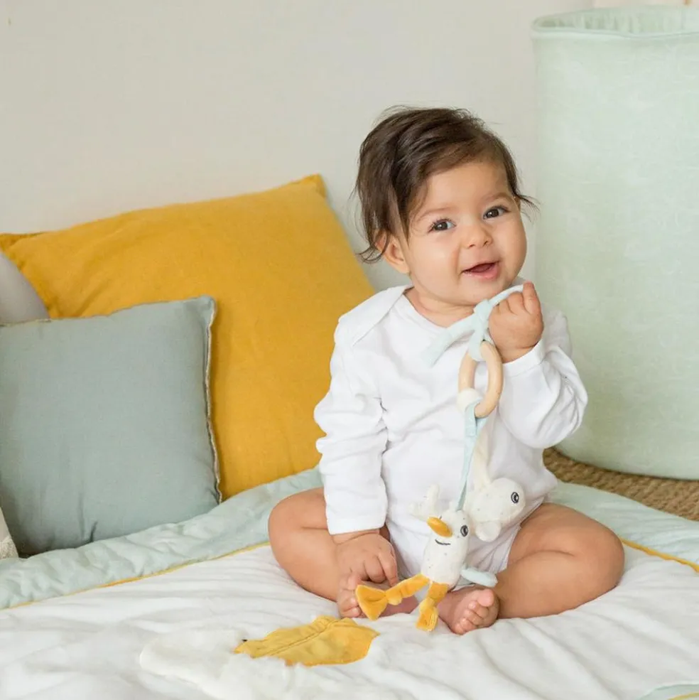 Anneau d'éveil à suspendre Au large de Nova