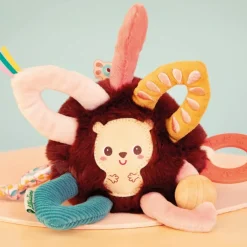 Anneaux sensoriels Léon le hérisson