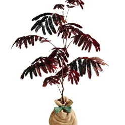 Arbre à offrir Arbre à soie pourpre - Joie et équilibre