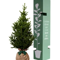 Arbre à offrir Epicea - Endurance, Force et Longévité