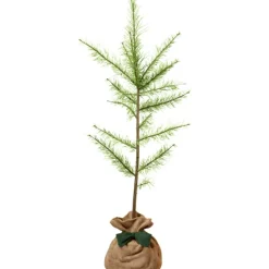 Arbre à offrir Mélèze d'Europe - Résilience et Adaptabilité