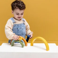 Arc-en-ciel à empiler en bois Mr. Lion