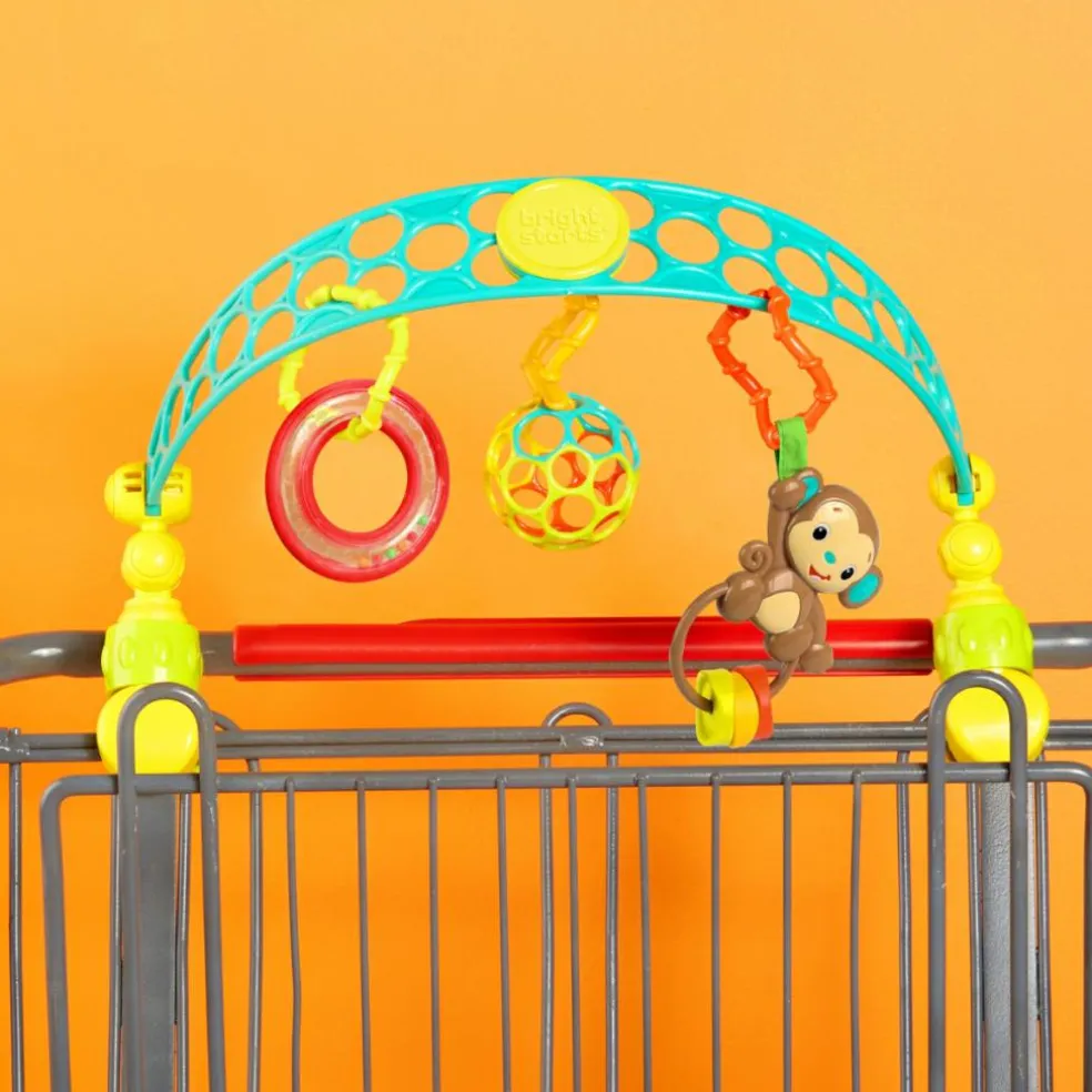 Arche de jeu nomade Oball Flex'n Go