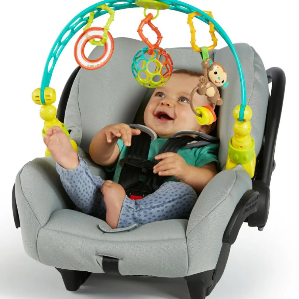 Arche de jeu nomade Oball Flex'n Go