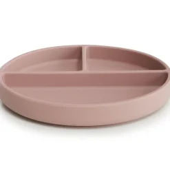 Assiette à compartiments en silicone avec ventouse Blush
