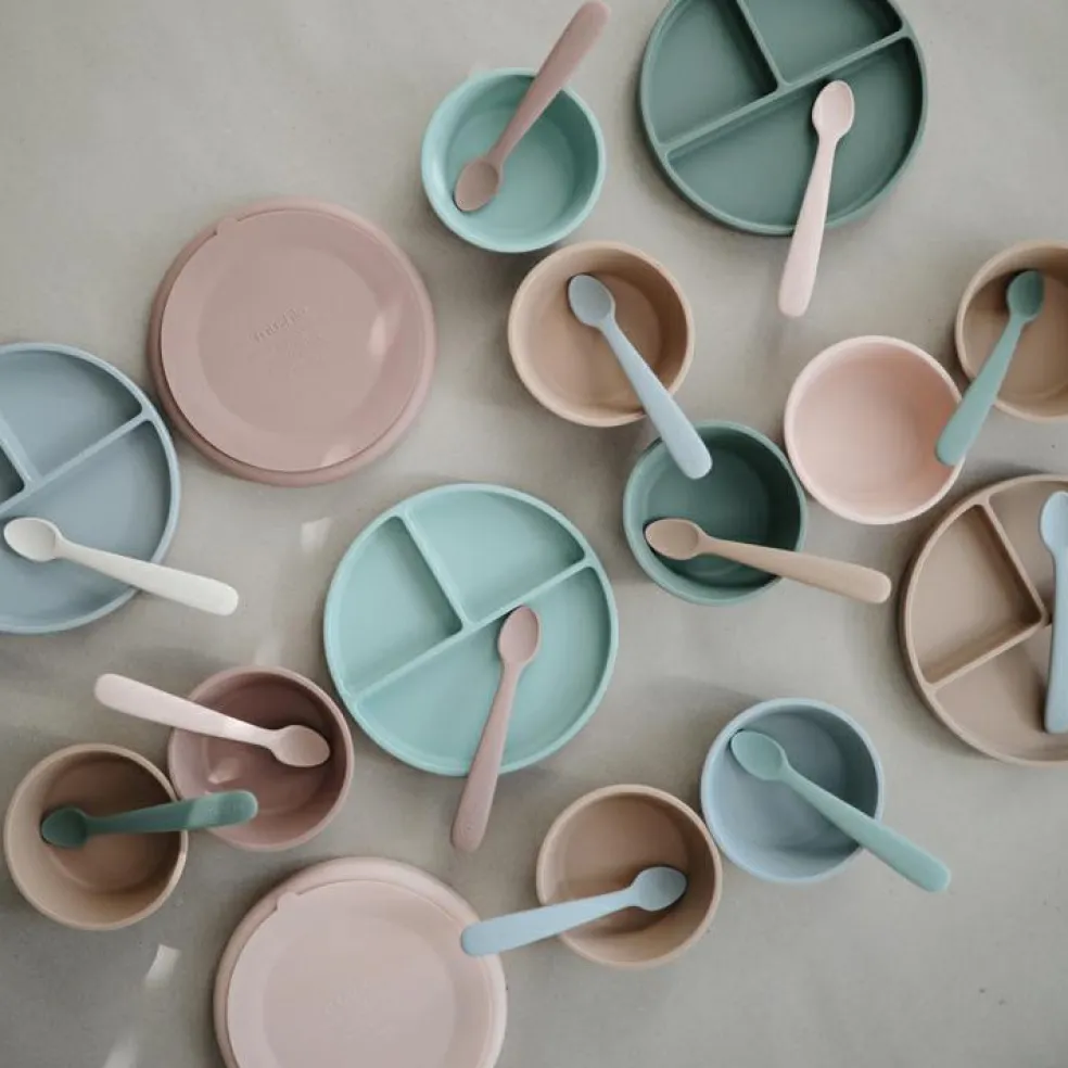 Assiette à compartiments en silicone avec ventouse Blush