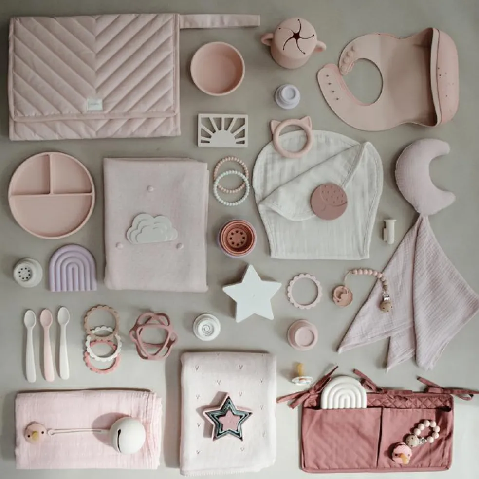 Assiette à compartiments en silicone avec ventouse Blush