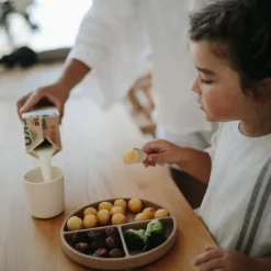 Assiette à compartiments en silicone avec ventouse Natural