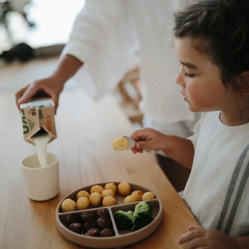 Assiette à compartiments en silicone avec ventouse Natural
