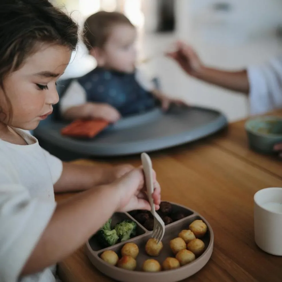 Assiette à compartiments en silicone avec ventouse Natural