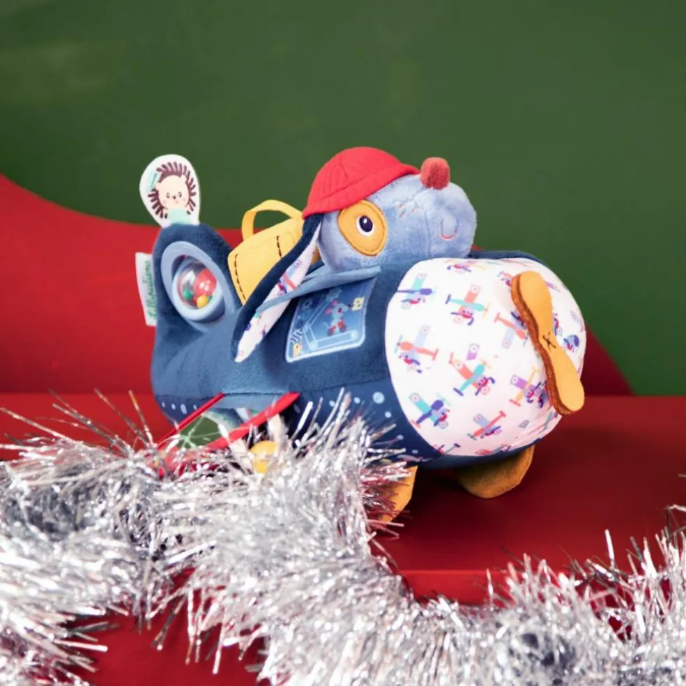 Avion d'activités Jules