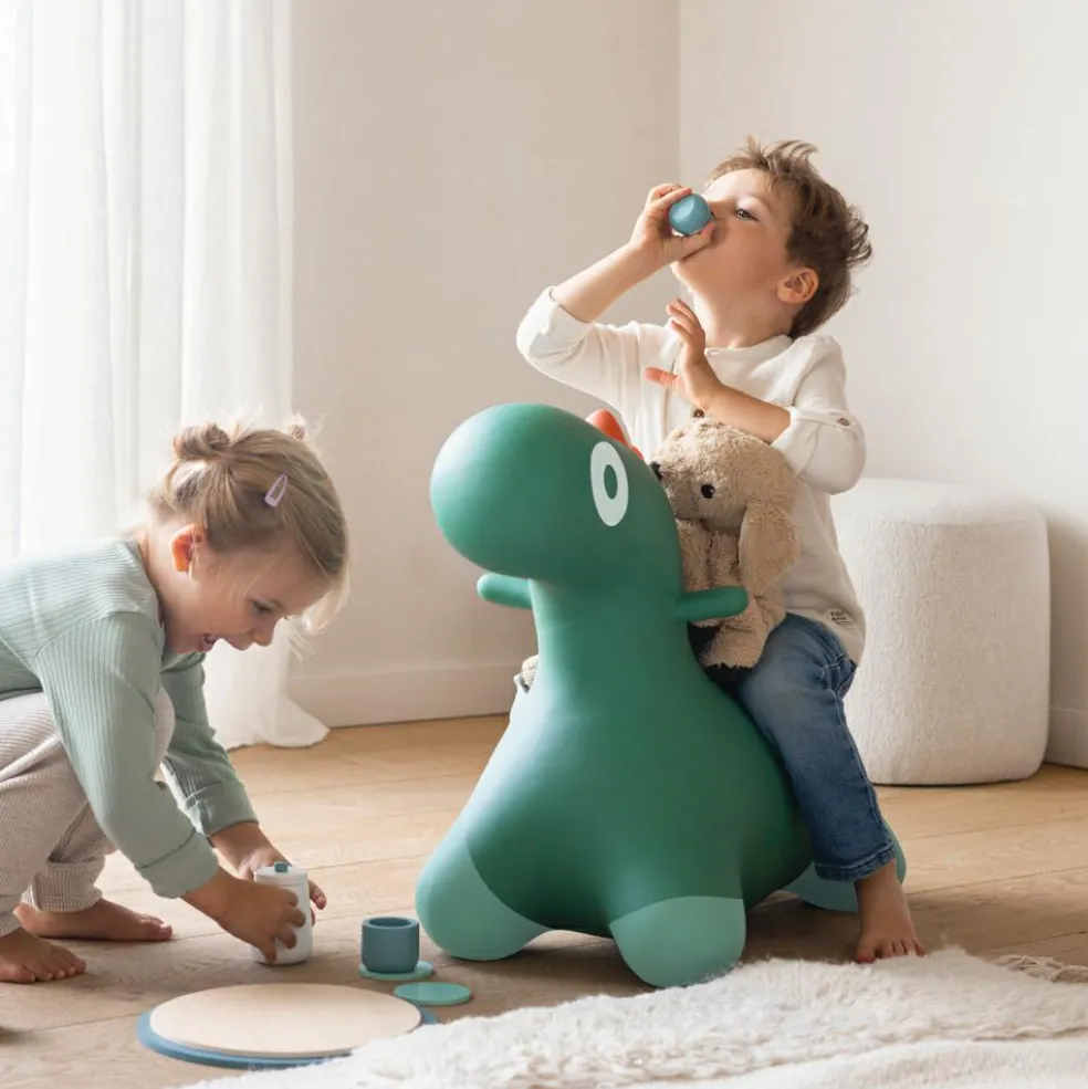 Ballon sauteur Hoppi Vert Jardin