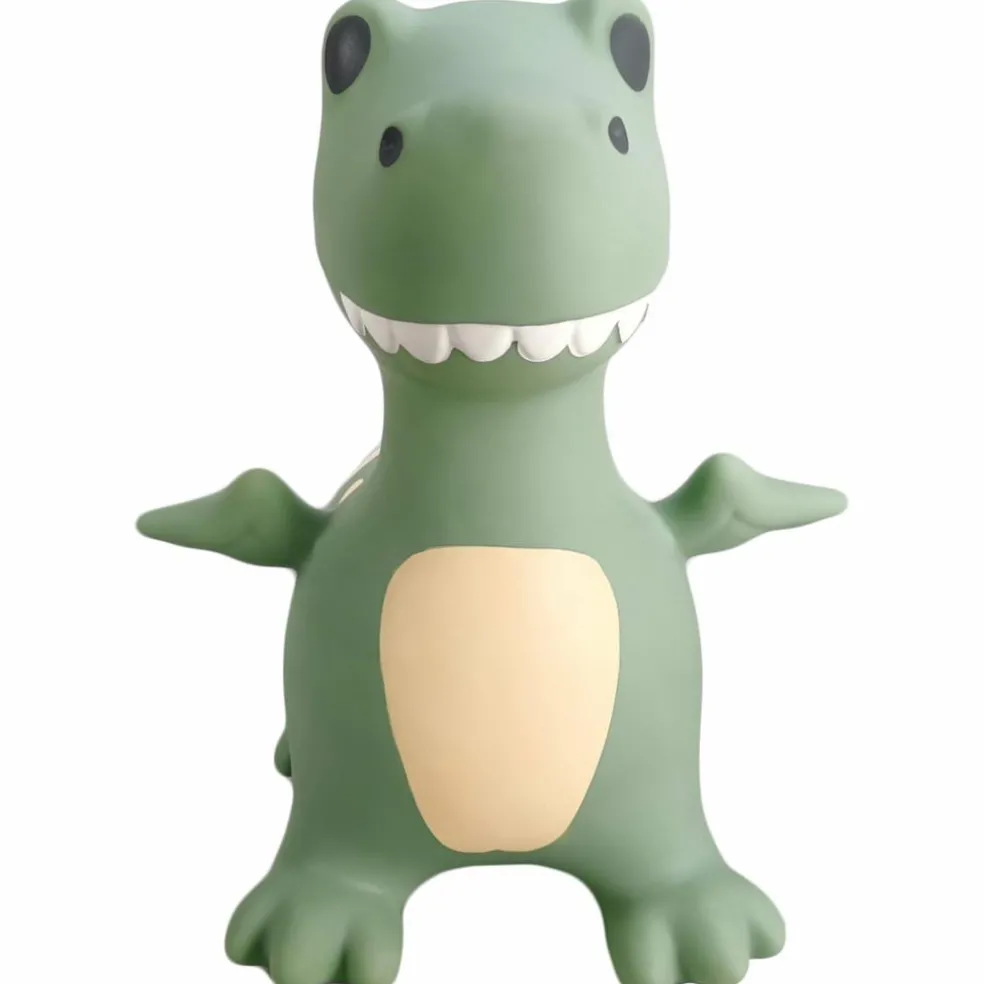 Ballon sauteur Le Dino Dexter