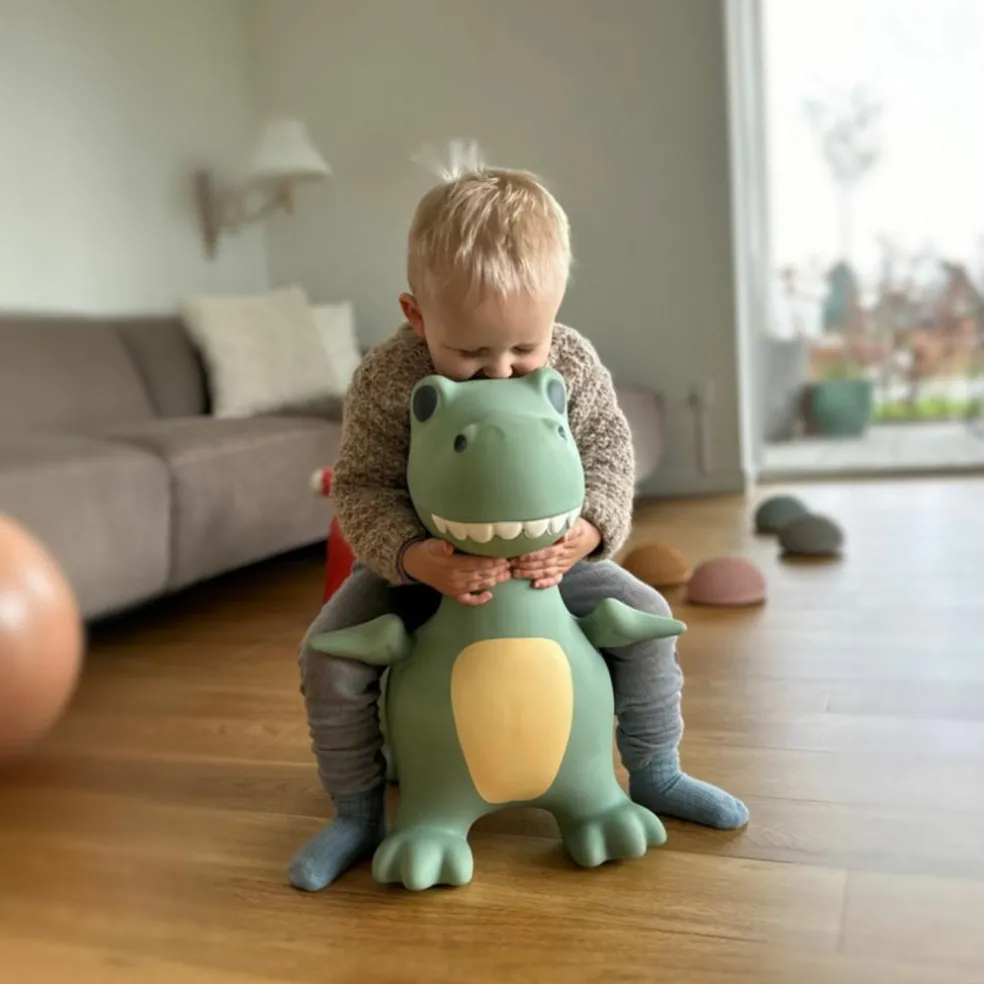 Ballon sauteur Le Dino Dexter