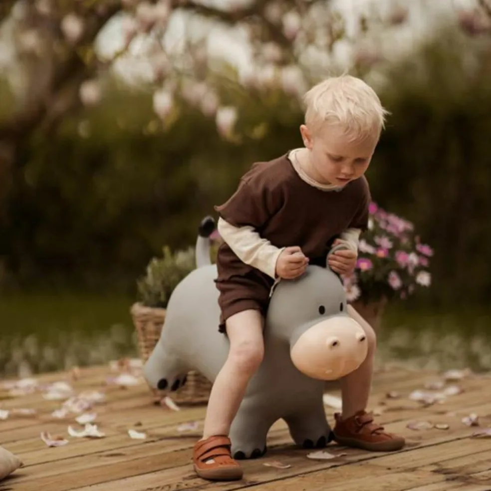 Ballon sauteur Le Hippo Holger