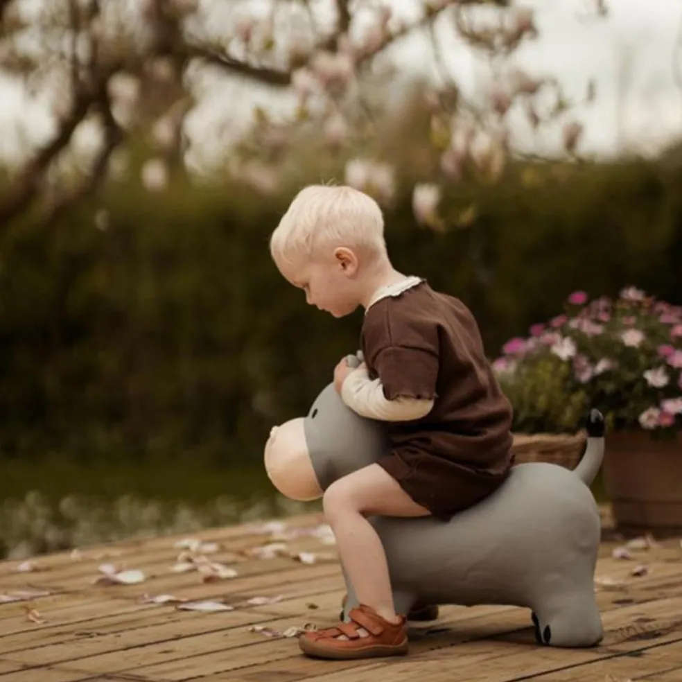 Ballon sauteur Le Hippo Holger