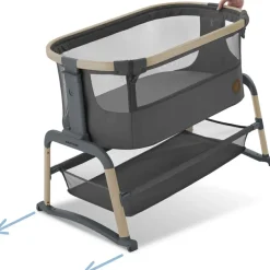 Berceau cododo Iora air Beyond Graphite