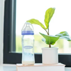 Biberon en verre Natural Wave spécial allaitement (240 ml)