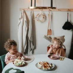 Bol à ventouse en silicone Blush