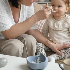 Bol silicone ventouse Galet