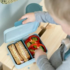 Boîte à goûter avec séparateur Tiny farm Bleu