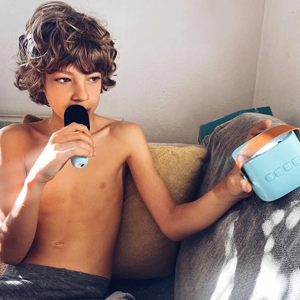 Boîte karaoké enceinte et micro Rose