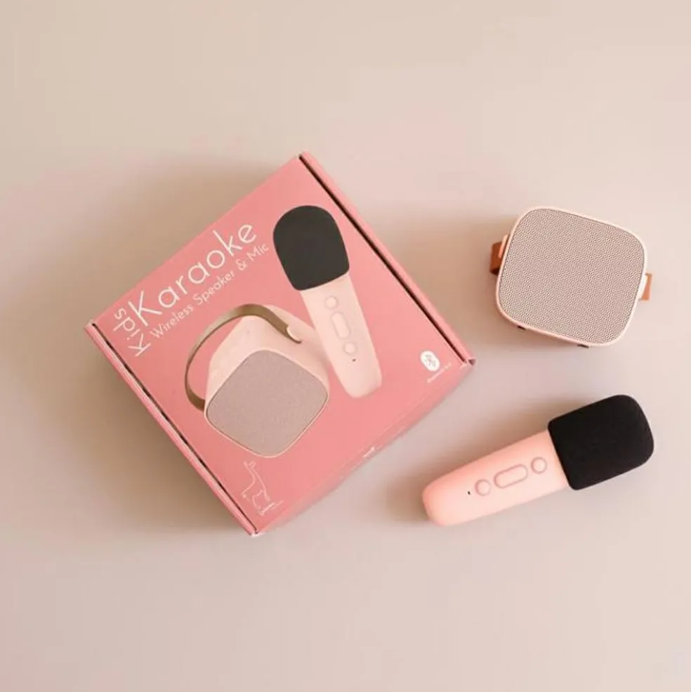 Boîte karaoké enceinte et micro Rose